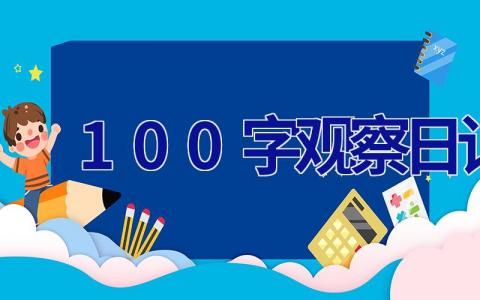 100字观察日记