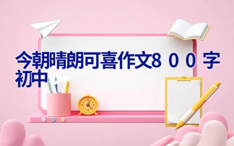 今朝晴朗可喜作文800字初中 向阳而生作文800字