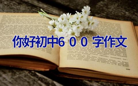 你好初中600字作文