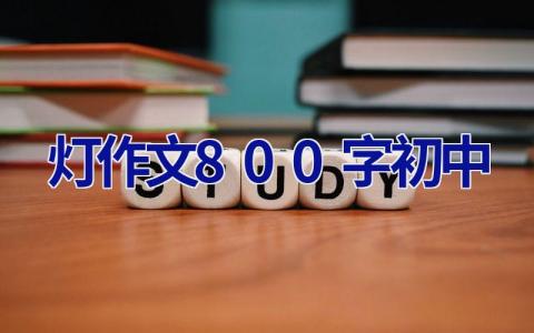 灯作文800字初中