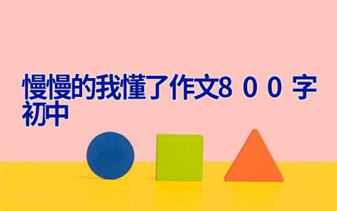 慢慢的我懂了作文800字初中