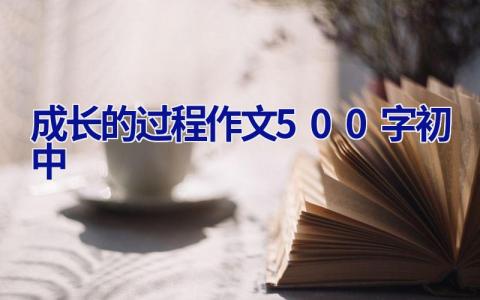 成长的过程作文500字初中