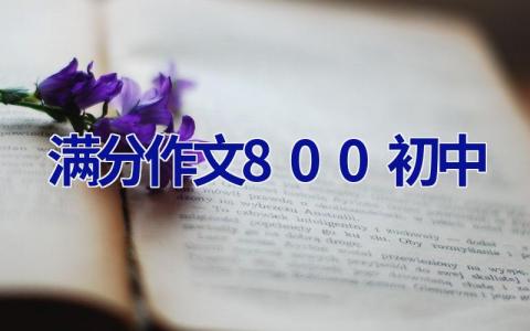 满分作文800初中