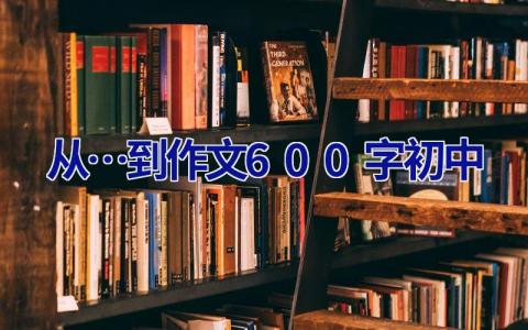 从…到作文600字初中