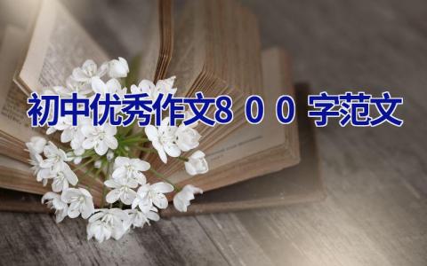 初中优秀作文800字范文