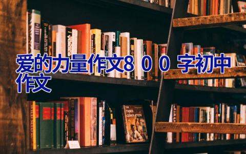 爱的力量作文800字初中作文