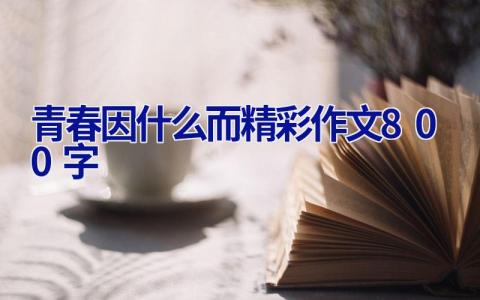 青春因什么而精彩作文800字