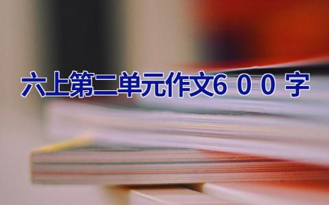 六上第二单元作文600字