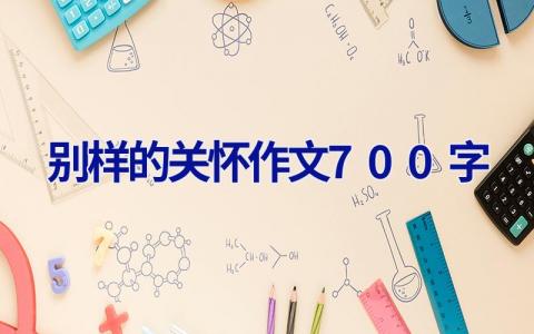 别样的关怀作文700字