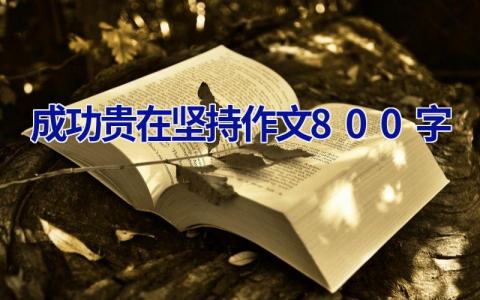 成功贵在坚持作文800字