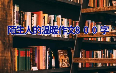 陌生人的温暖作文800字