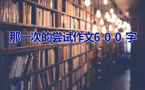 那一次的尝试作文600字