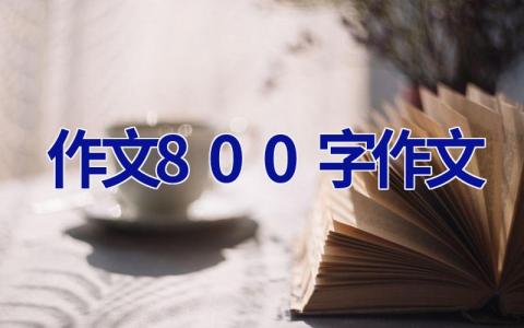 作文800字作文