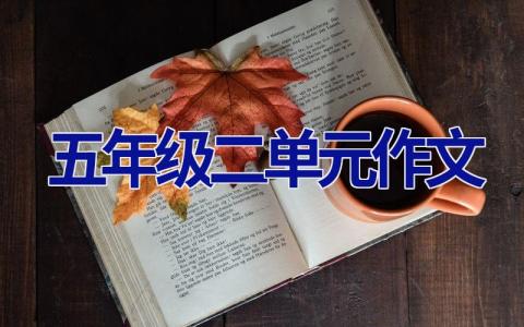 五年级二单元作文