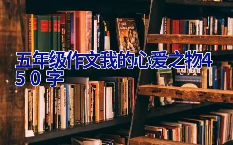 五年级作文我的心爱之物450字