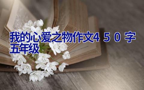 我的心爱之物作文450字五年级