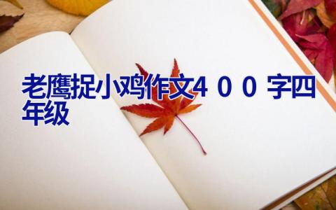 老鹰捉小鸡作文400字四年级