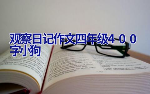 观察日记作文四年级400字小狗