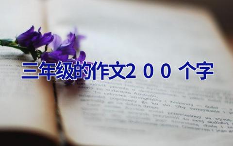 三年级的作文200个字