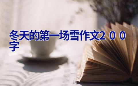 冬天的第一场雪作文200字